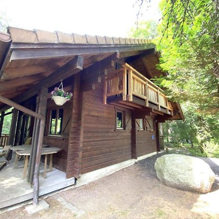 Le Renard Chalet En Bois La Bresse Exteriér fotografie