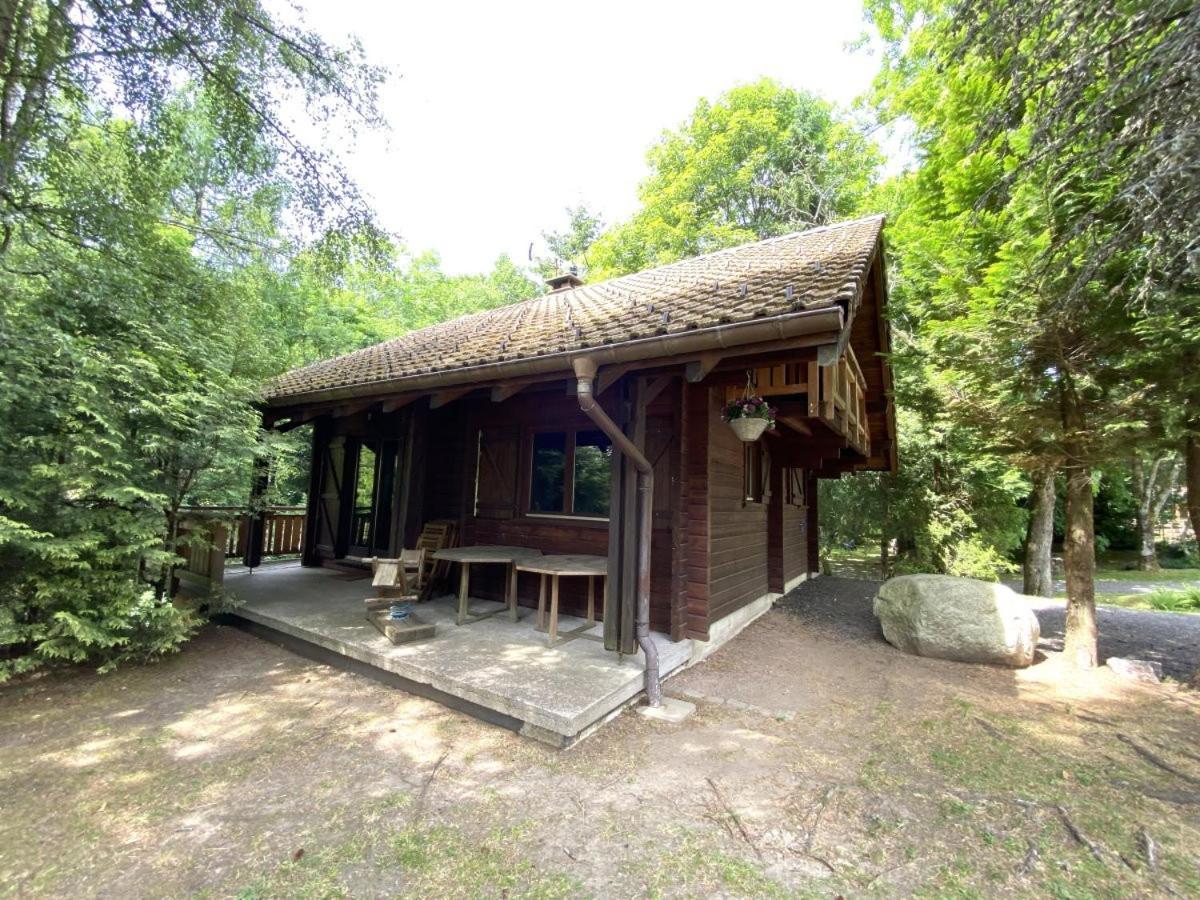 Le Renard Chalet En Bois La Bresse Exteriér fotografie