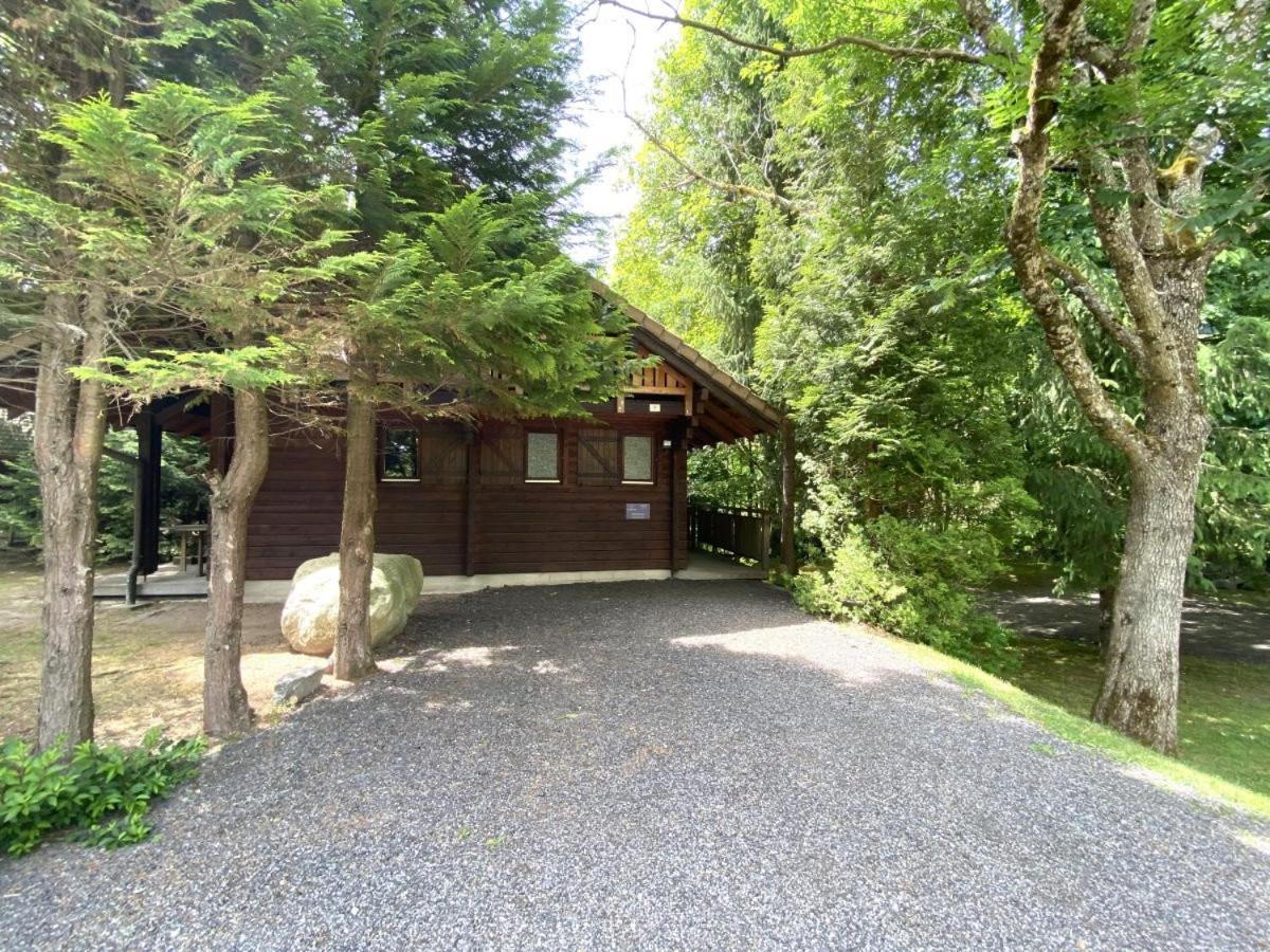 Le Renard Chalet En Bois La Bresse Exteriér fotografie